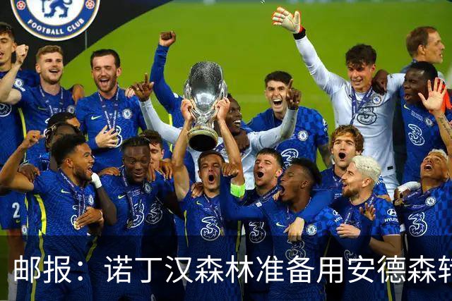 邮报：诺丁汉森林准备用安德森转会费引援，补强锋线和中场