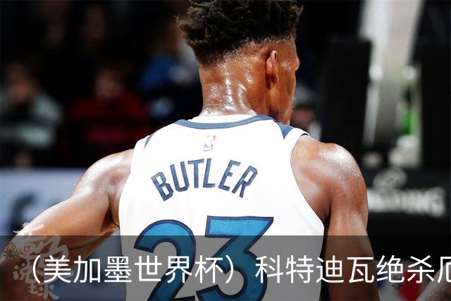 （美加墨世界杯）科特迪瓦绝杀厄瓜多尔 瑞典5:1大胜突尼斯